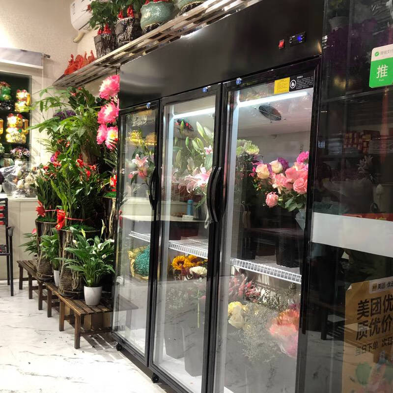 三门鲜花保鲜柜商用立柜两门玻璃冰箱冰柜风冷除霜花店冷藏展示柜惠康