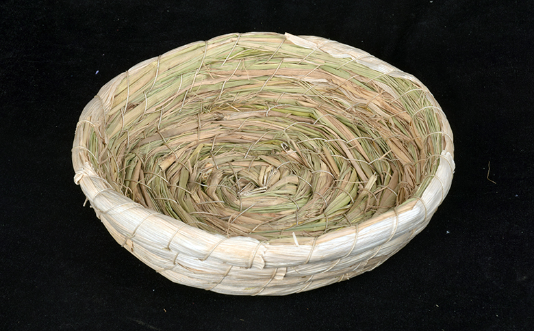 鸽子草窝信鸽用具赛鸽窝塑料巢盆蛋盆鸽子巢盆鸟窝鸽窝鸽子用品 大号