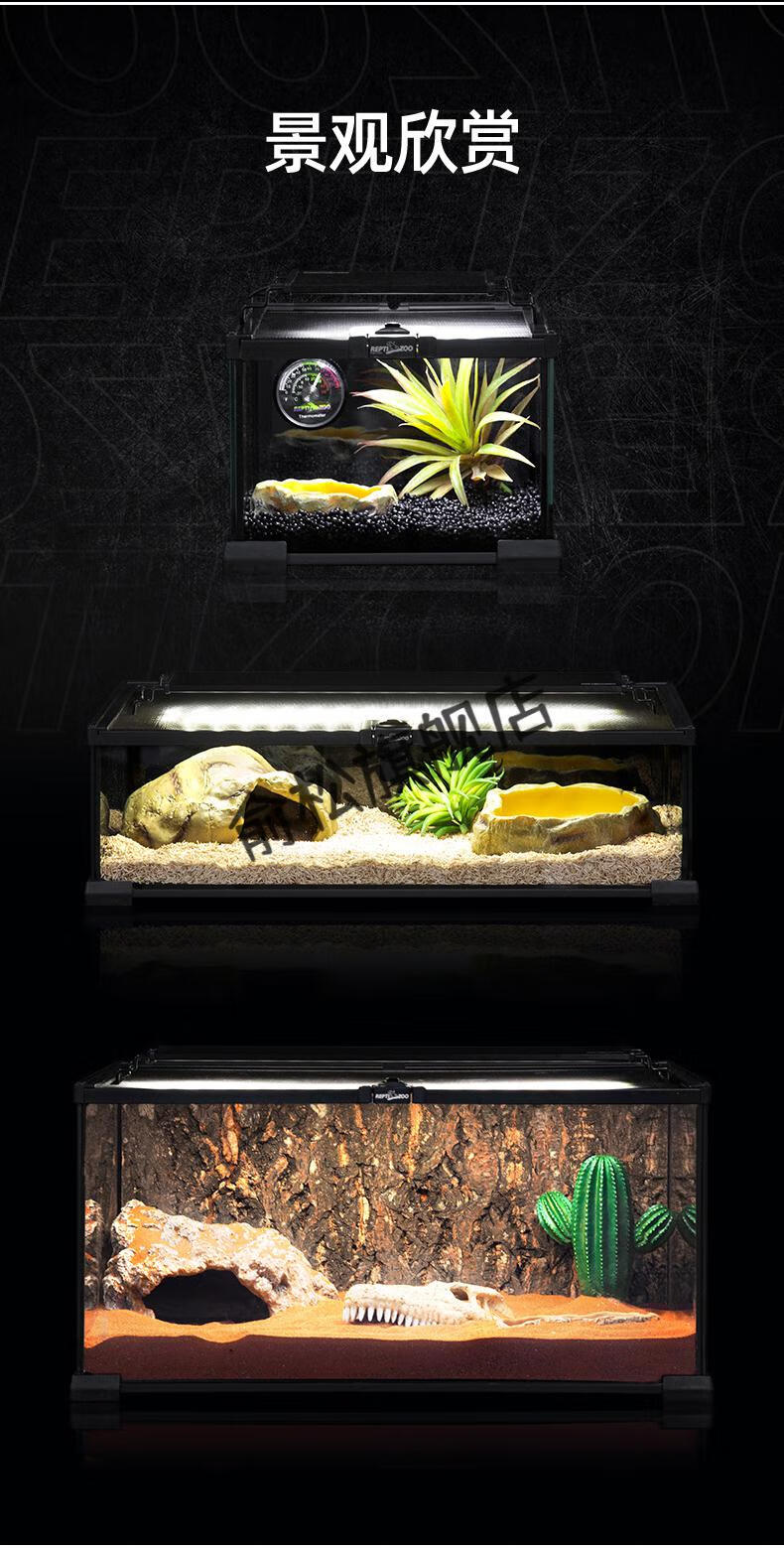 升级款养蛇专用箱新派reptizoo玻璃爬缸蜥蜴守宫蛇甲虫陆龟爬宠爬虫