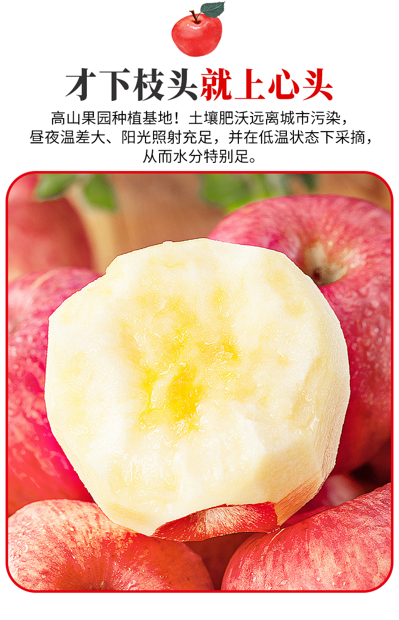 895f2eff25127945.jpg