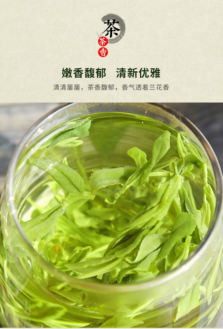 岳西翠兰绿茶2021新茶国宾礼茶安徽大别山高山云雾浓香型耐泡茶叶500g