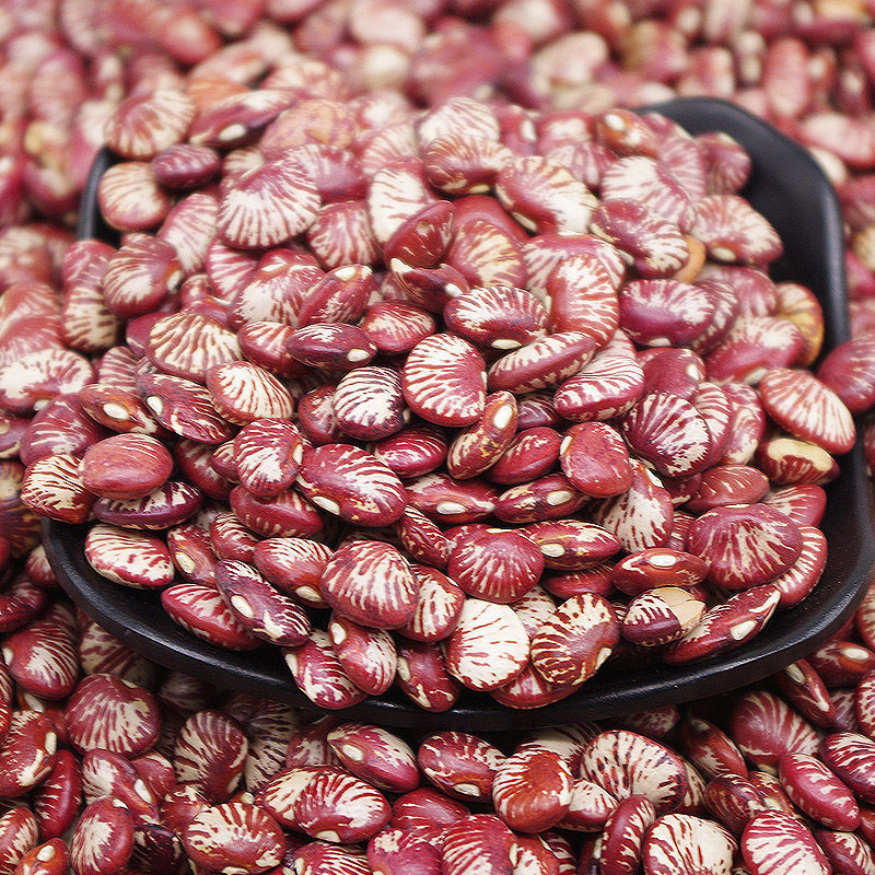 云南斑马豆 新货农家自产大圣豆 荷包豆 饭豆煲汤煮