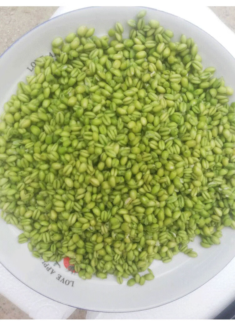 河南新鲜青麦仁农家青麦粒现货嫩麦籽煮粥杂粮小麦粒碾转材料2斤 4斤