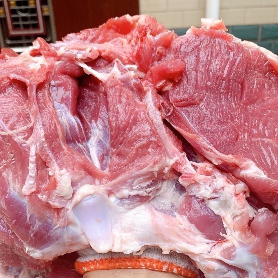 新鲜羔羊肉清真烧烤羊肉串火锅食材现宰羔羊肉农家精选三斤羊肉精品装