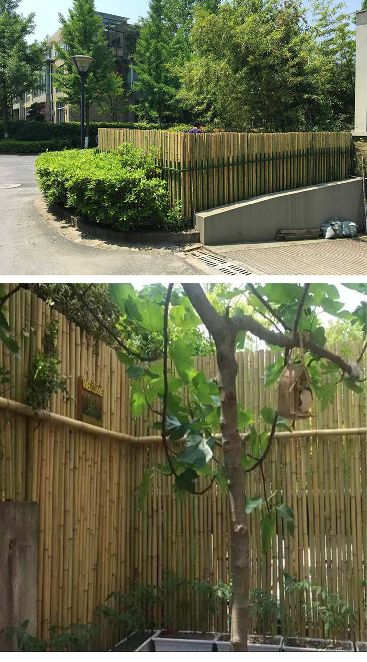 户外竹篱笆栅栏庭院装饰隔断碳化竹子围栏日式竹排围墙花园防腐竹紫竹