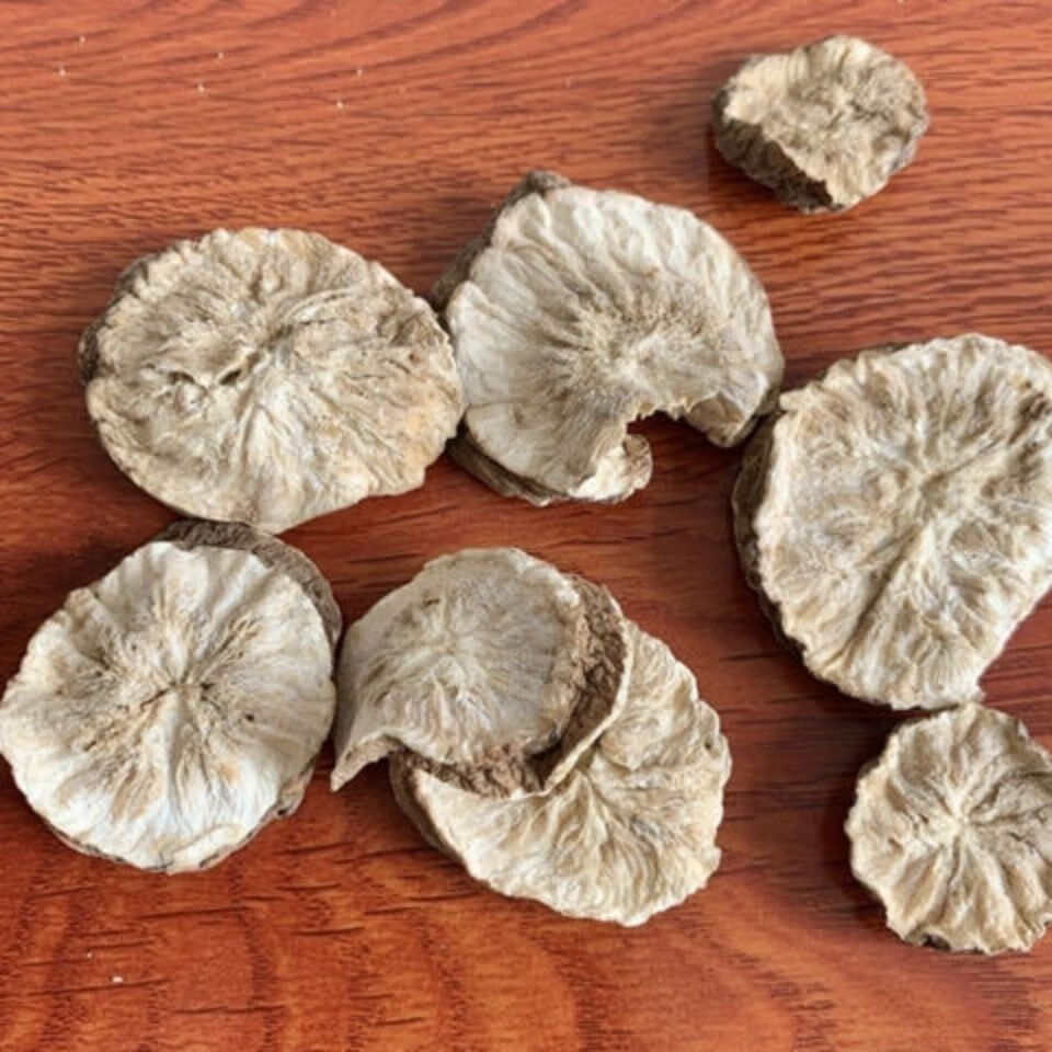 长白山特级天然菊苣根片菊苣栀子茶苦菊根野生菊苣根玉兰根 250克