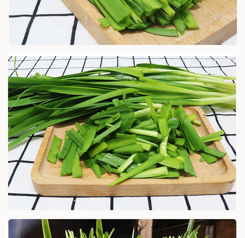 年货精选新鲜韭菜头茬l韭菜青韭菜山东寿光新鲜现割露天韭菜应季蔬菜