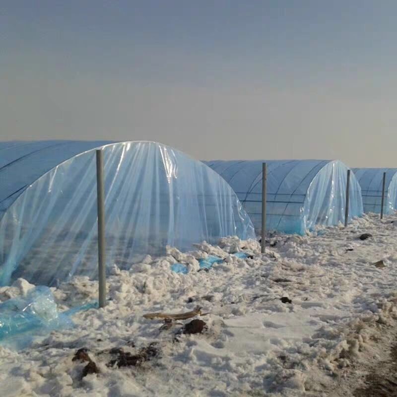 大棚膜蔬菜抗氧化无滴保温透明防晒加厚养殖隔热黑白膜 黑白膜12s一