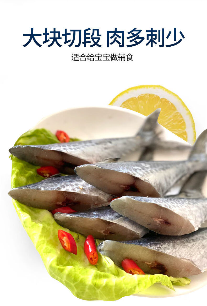 鲅鱼尾新鲜燕鲅鱼大马鲛鱼馅饺子海鱼海鲜冷冻批发展志曼智 【精品