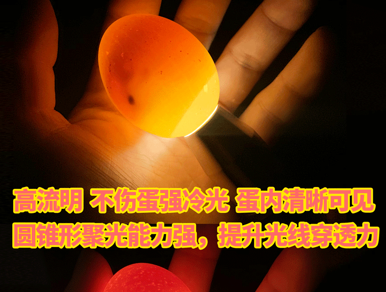 五金工具 家用五金 赣源 照蛋器强光孵化鸡蛋验蛋神器穿透照蛋灯led