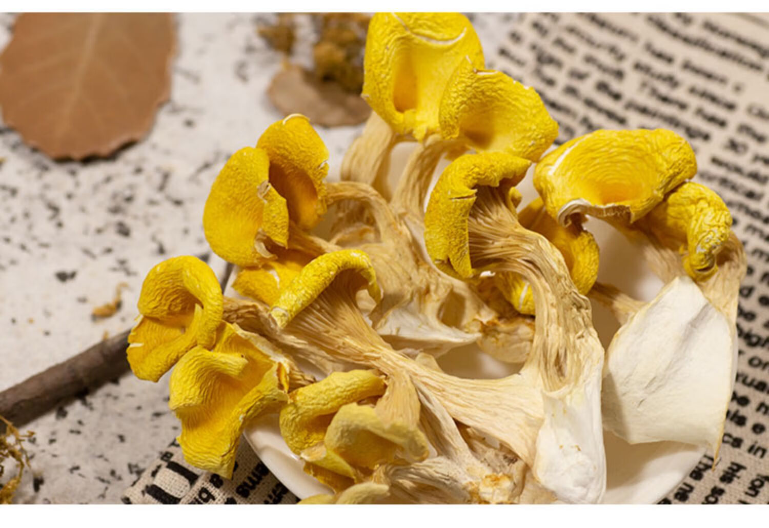 食用鸡油菌干货云南特产250g榆黄蘑干货黄香菇煲汤500g