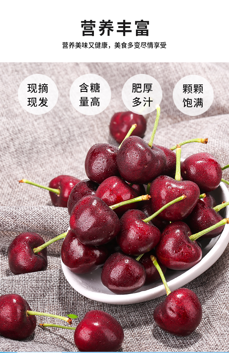 春光岛大连樱桃车厘子新鲜水果山东孕妇美早大樱桃现摘现发当季 1000g