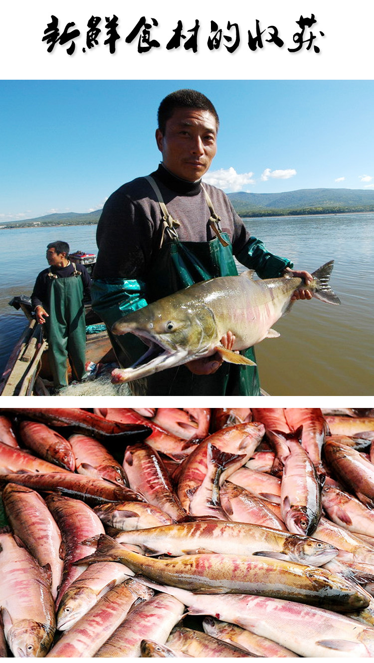 鮮木 黑龍江撫遠野生大馬哈魚鹹魚塊魚段1500g東北特產新鮮醃製 1500g