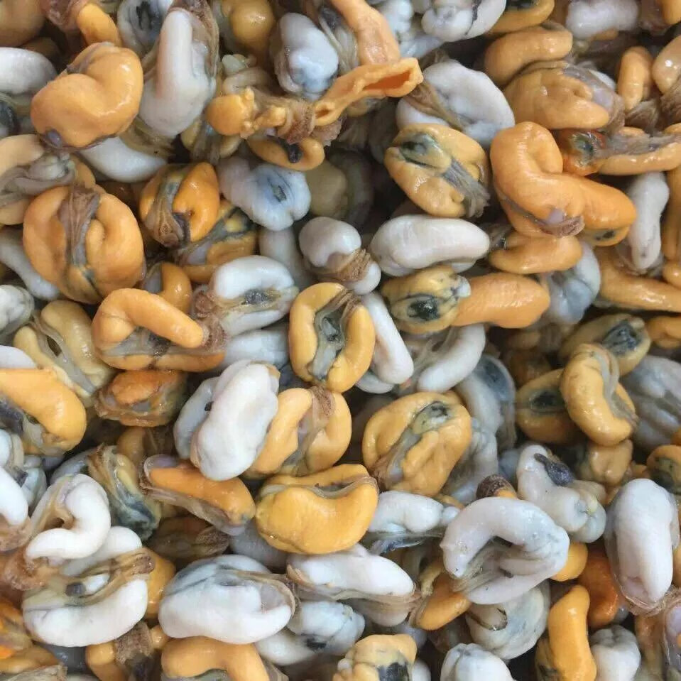 潮汕特产 肌蛤薄壳米 打捞当季 贝类薄壳肉 海鲜瓜子 免洗即吃 薄壳 2