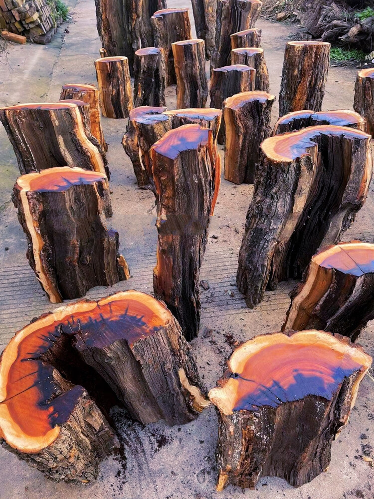 微韵真正雷击枣树原木活树伐开料雷劈枣木自然雷痕道教实用原木段a15