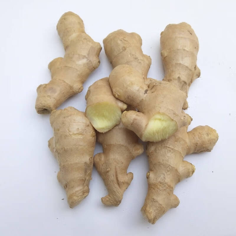晨臻生姜老姜新鲜山东大姜黄姜风干姜月子姜生姜块老姜母生鲜姜块3斤