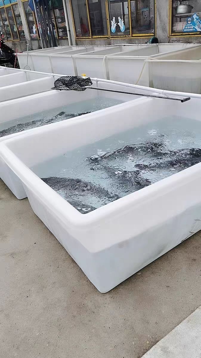 加厚牛筋塑料水箱长方形水产箱家用卖鱼盆养殖箱养鱼箱养龟箱浅盆100