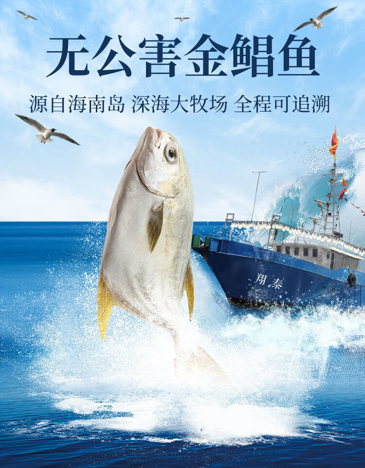 金鲳鱼新鲜活鱼冷冻现货海鲜冰冻鱼大金鲳鱼深海金鲳鱼国产海南2条装