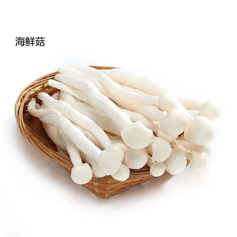 现货速发海鲜菇蟹味菇白玉菇2-4斤新鲜食用菌现摘现发 4斤精品海鲜菇