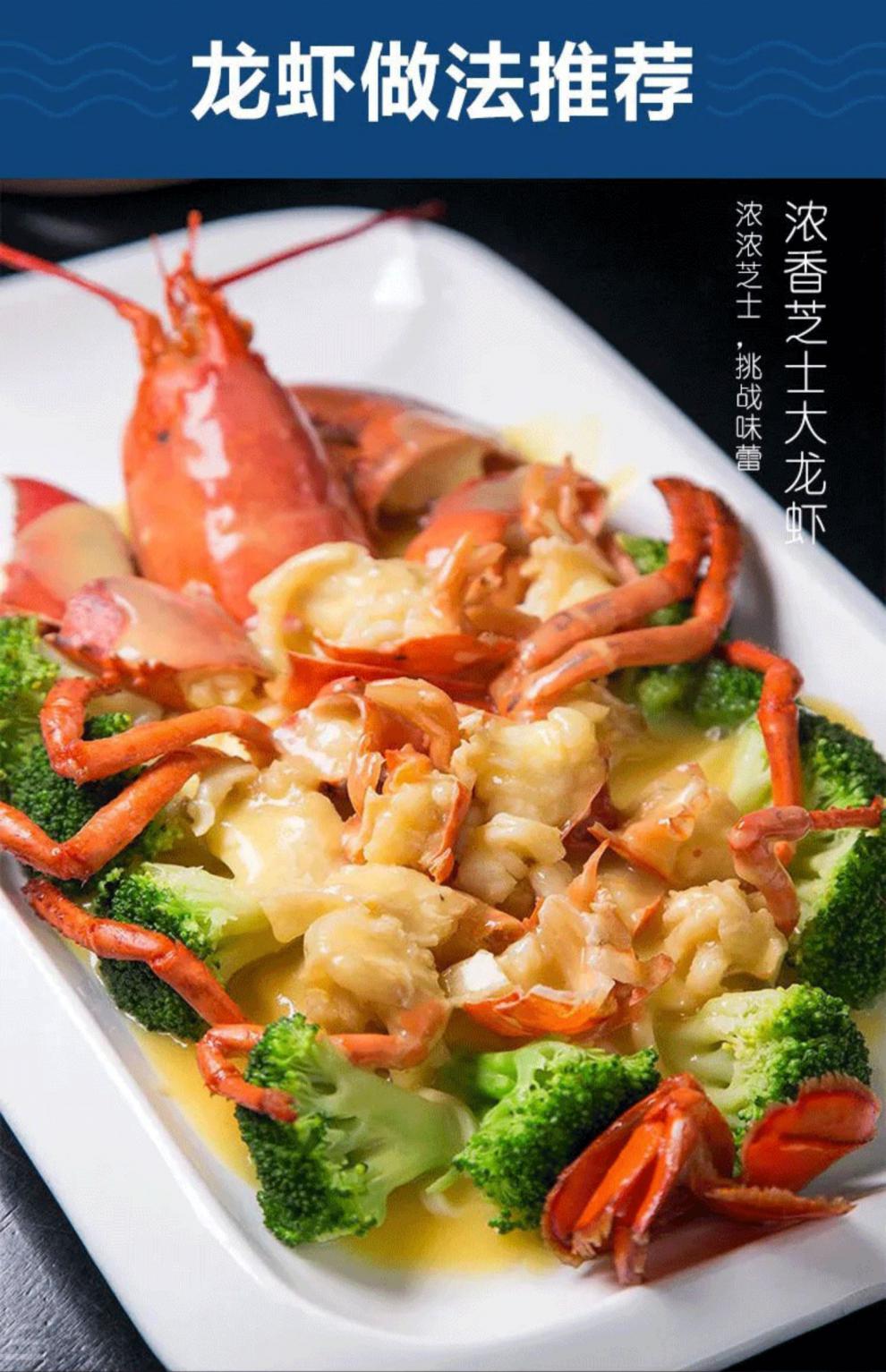 波士顿龙虾特大15斤波龙海鲜澳龙鲜活冷冻大龙虾5斤6500g50115cm