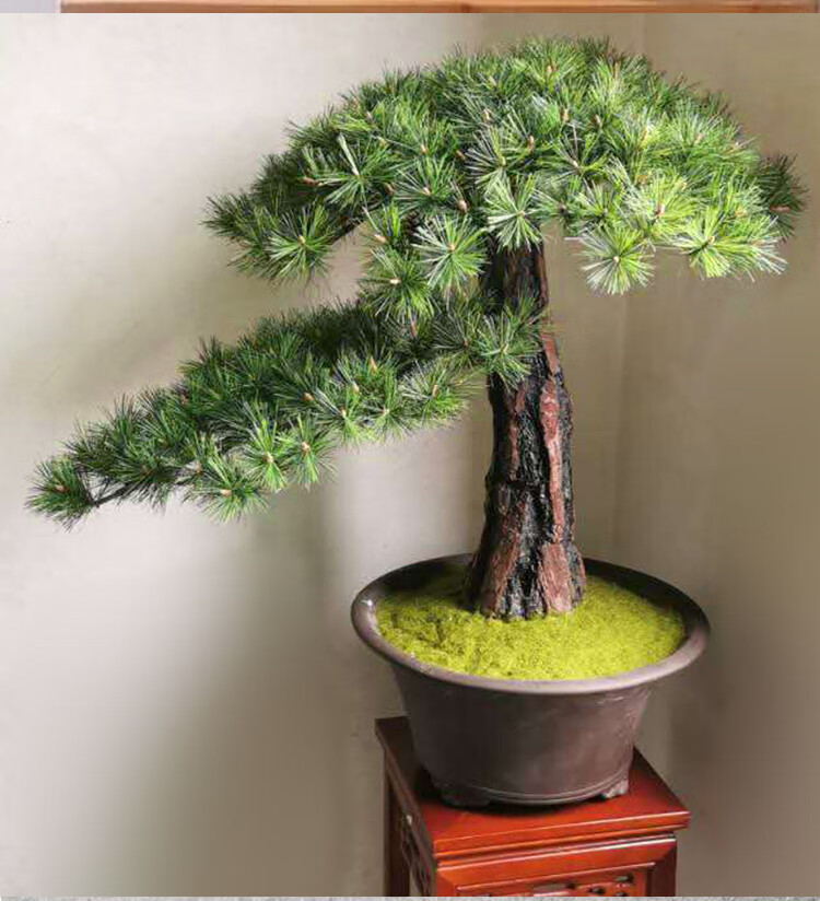 仿真松树枝带果假松枝景观松针黑松柏枝叶迎客松圣诞树大马尾松 小