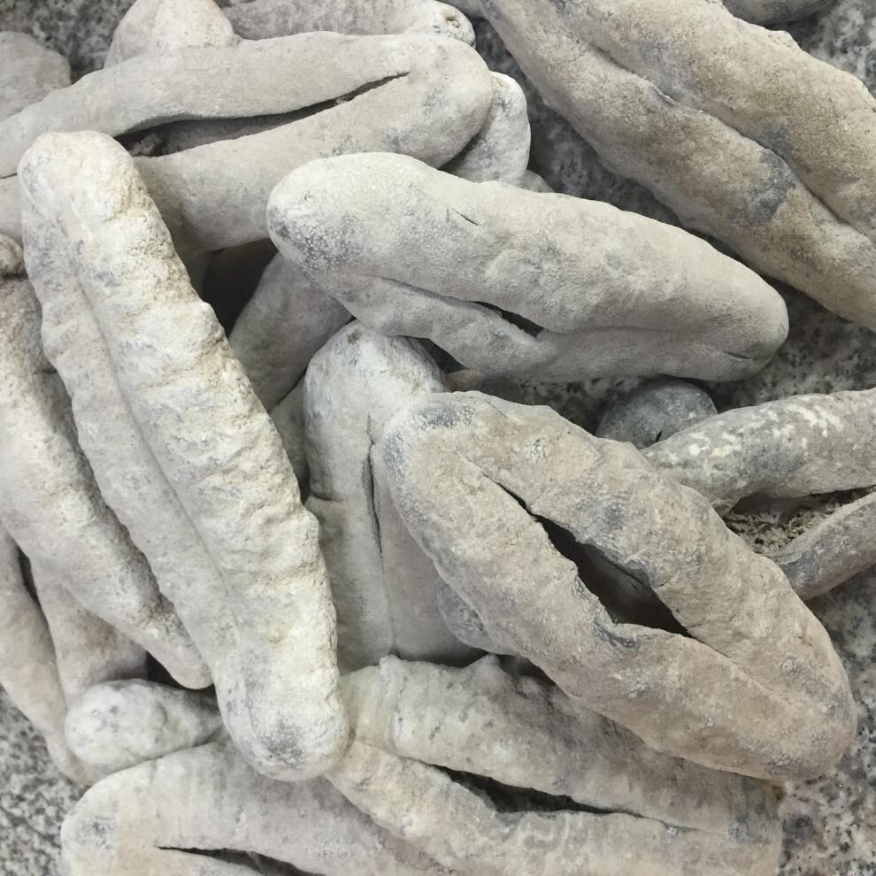 猪婆参 大只参南美参梅花参虎皮参青皮参淡干海参干货500 8-13只/1斤