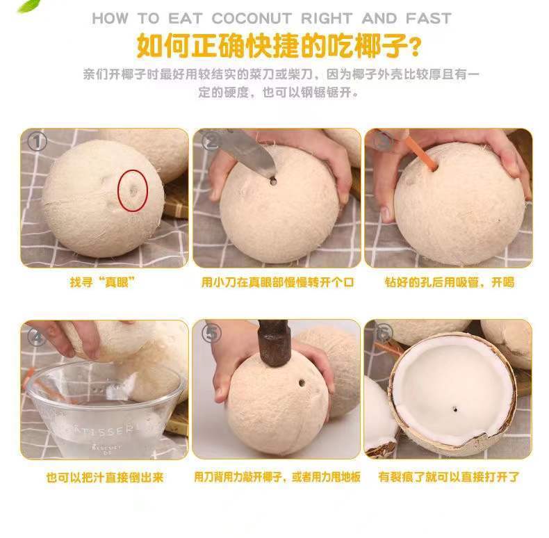 海南新鲜椰子椰青椰白孕妇当季水果椰皇毛椰奶椰现摘海南特产海南牛奶