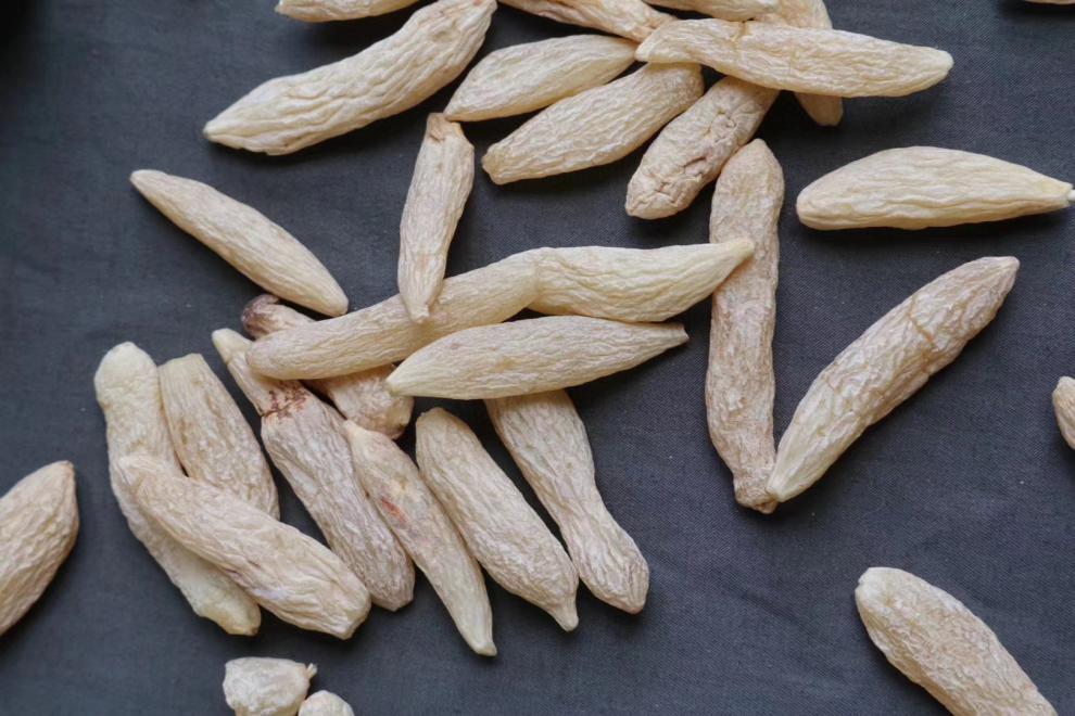 麦冬500g大颗粒四川粗条麦门冬泡水小孩煲汤料草本特产汤包非特级伊梵