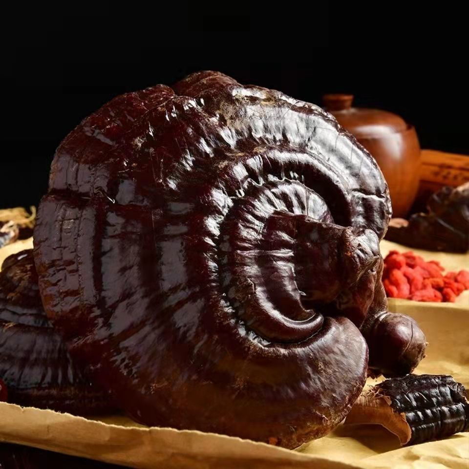 灵芝粉破壁灵芝野生赤灵芝粉超细灵芝现磨长白山头道粉灵芝孢子粉灵芝