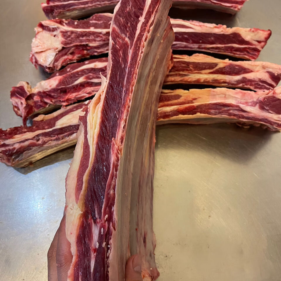 新鲜黄膘牛排骨原切内蒙古直发草地牛现杀肥瘦相间黄牛肉特瘦清真 牛