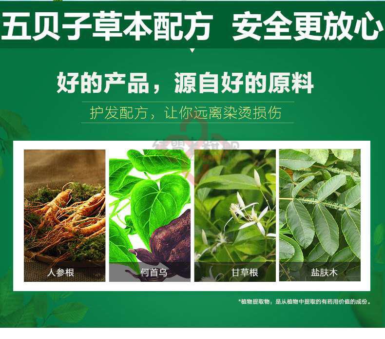 五贝子清水染发剂一洗黑天然植物五倍子染发膏霜黑色焗油膏总1000ml黑