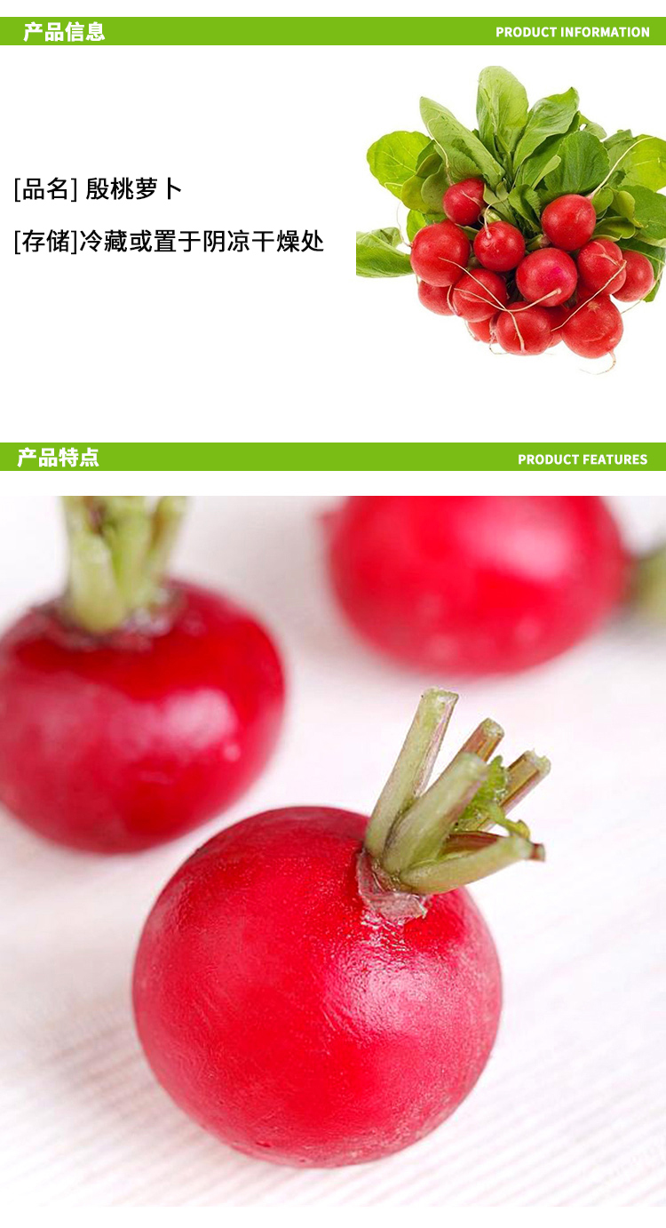 樱桃萝卜 250g/500g新鲜迷你小萝卜红萝卜小红圆萝卜 水萝卜 蔬菜沙拉