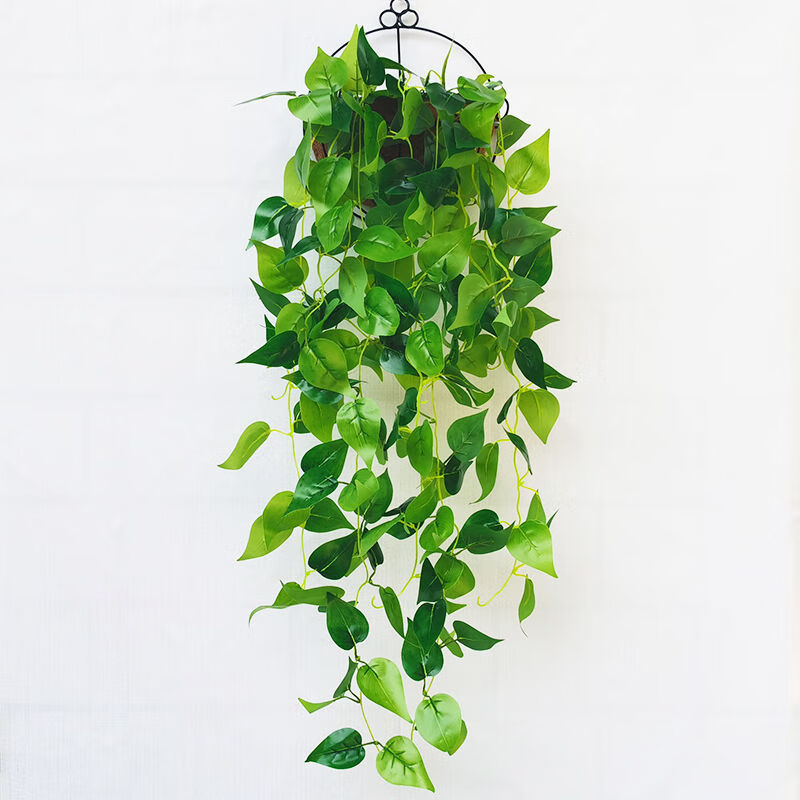 精选现发仿真绿萝挂墙墙上装饰壁挂假花植物塑料藤条吊篮绿植墙壁遮挡