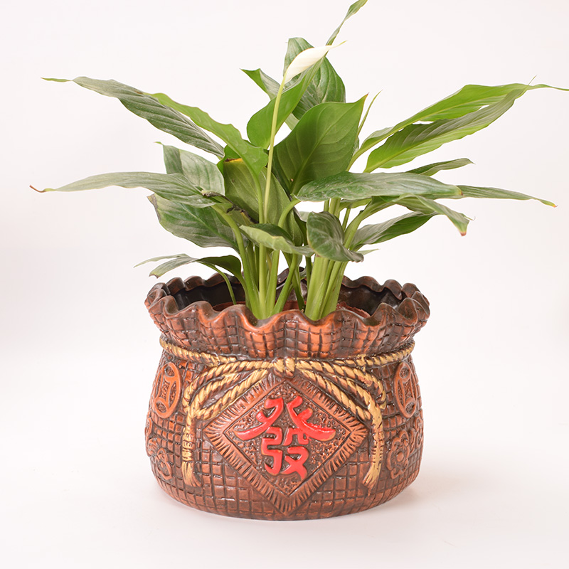招财进宝花盆红陶花盆 桌面创意文竹发财树专用盆中财源广进进宝家居