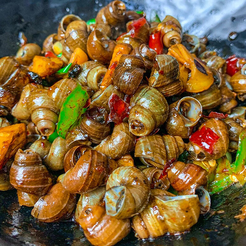春光岛菜英雄嗦螺500g湖南特色香辣螺丝田螺炒唆螺酒店半成品加热即食