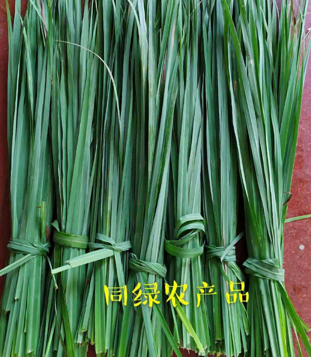 新鲜香茅草叶柠檬草泰国冬阴功汤香料傣式烤鱼烤鸡香料泰国香茅草