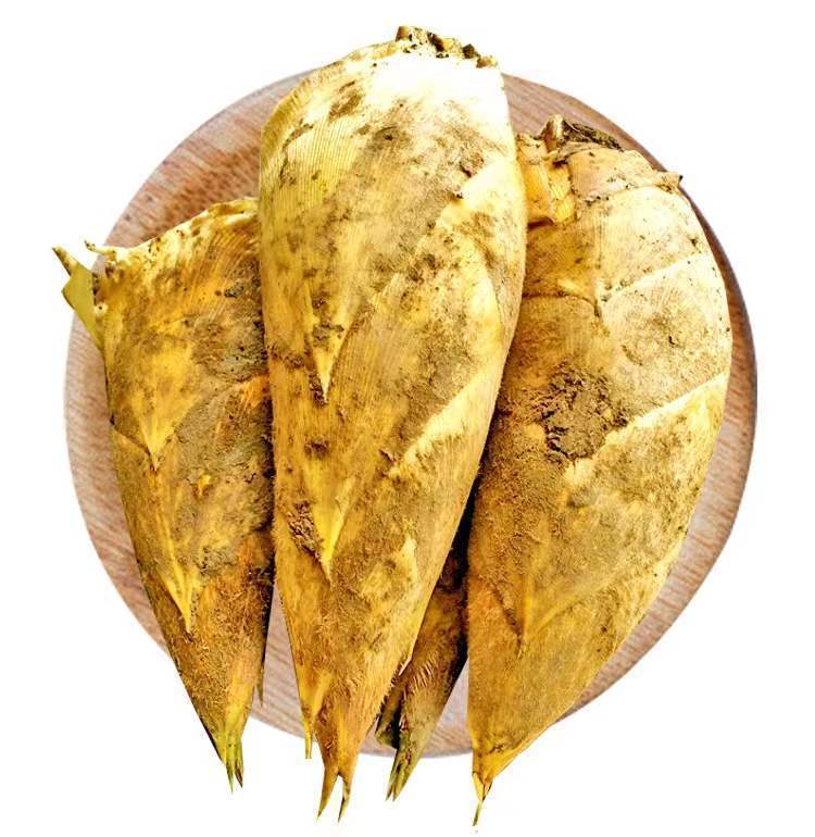 坏了包赔现挖冬笋新鲜两头尖鲜竹笋新鲜农家黄泥笋3斤精品两头尖48两