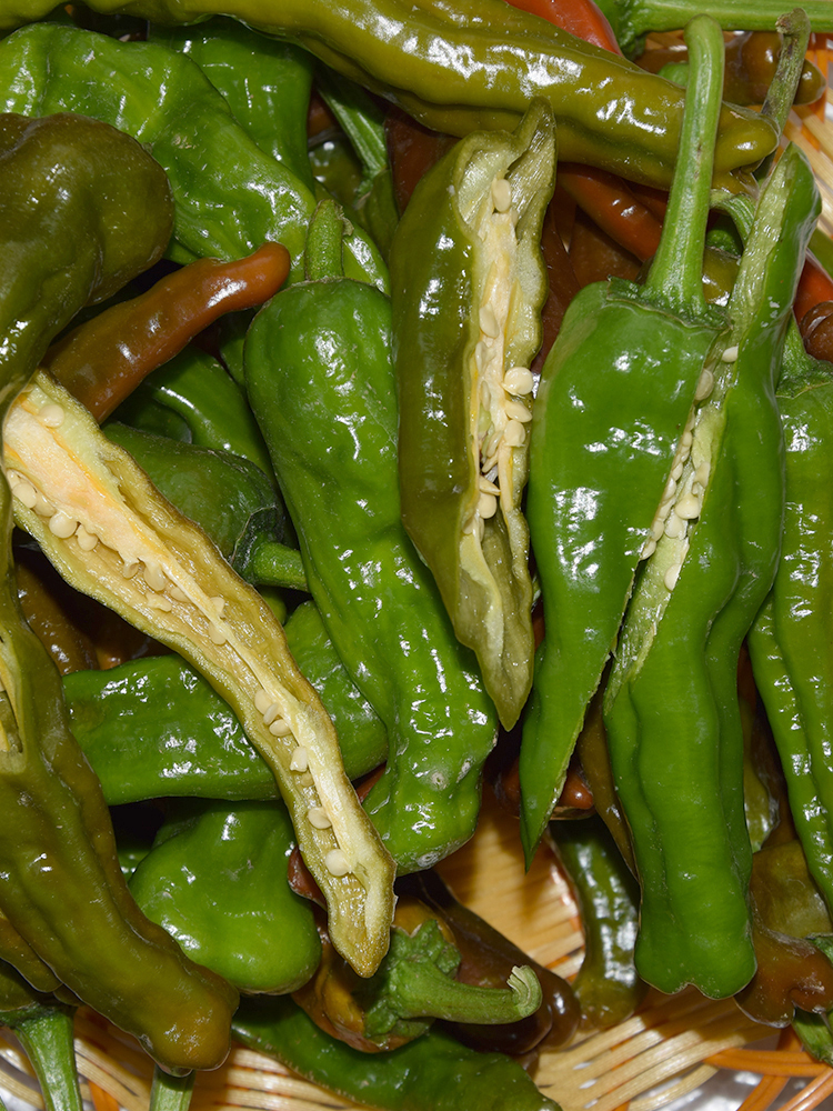 现摘新鲜蔬菜山东枣庄一窝蜂薄皮皱皮超辣特辣螺丝土辣椒3斤5斤 1500g