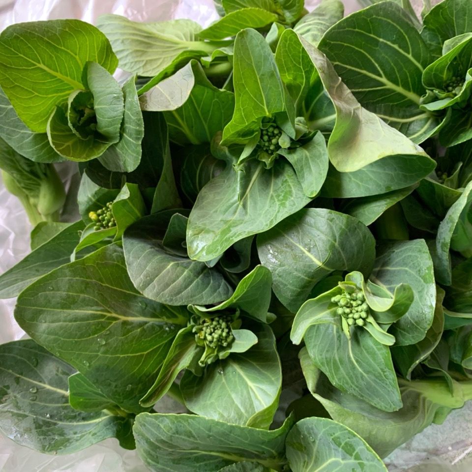 新鲜霜冻青菜苔菜心白菜苔甜糯嫩菜心菜心绿色新鲜菜苔5斤装顺丰