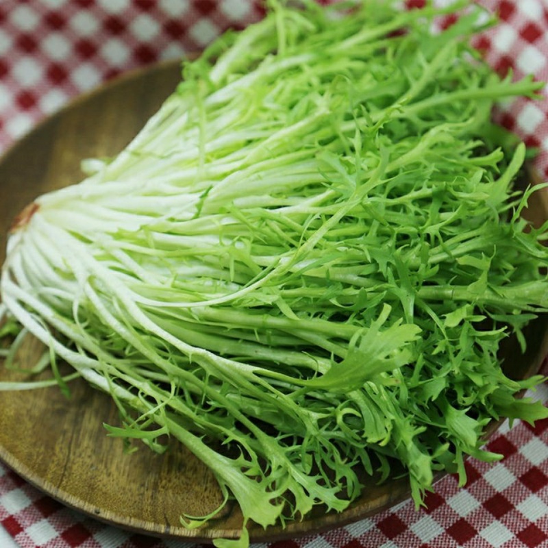 苦菊新鲜蔬菜生吃苦叶生菜新鲜沙拉菜细叶黄心苦苣菜生吃青菜 一斤