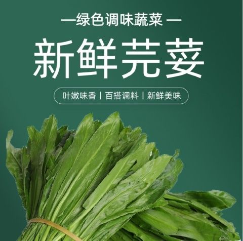 云南德宏大香菜新鲜缅芫荽刺芫荽芫茜香料刺芹新鲜食材新鲜大芫荽无根