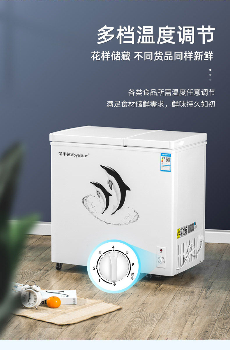 荣事达双温冰柜冷柜家用双门冷藏冷冻保鲜小型两用大容量商用节能摩鱼