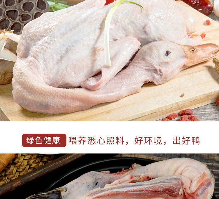 老鸭散养现杀老麻鸭农家土鸭笨鸭新鲜鸭子肉整只老母鸭肉火锅食材罕见
