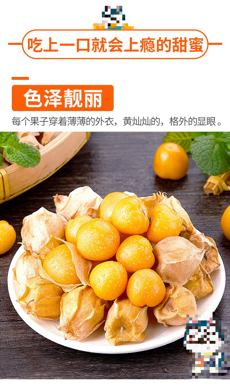 【官方旗舰】东北姑娘果1斤大果应当季水果新鲜甜洋菇娘黄姑娘果特产