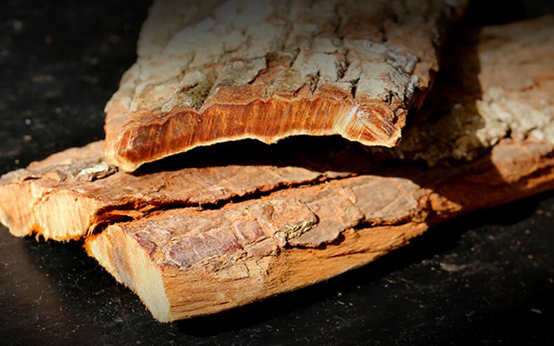 初湛 卡宾达树皮肉苁蓉洲安哥拉宾卡达kuba库巴树皮可搭男性滋补泡酒