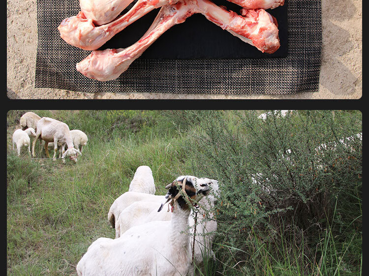 羊棒骨小腿骨煲汤熬汤吸骨髓烫火锅食材 散养生鲜羊肉羊棒骨1500g