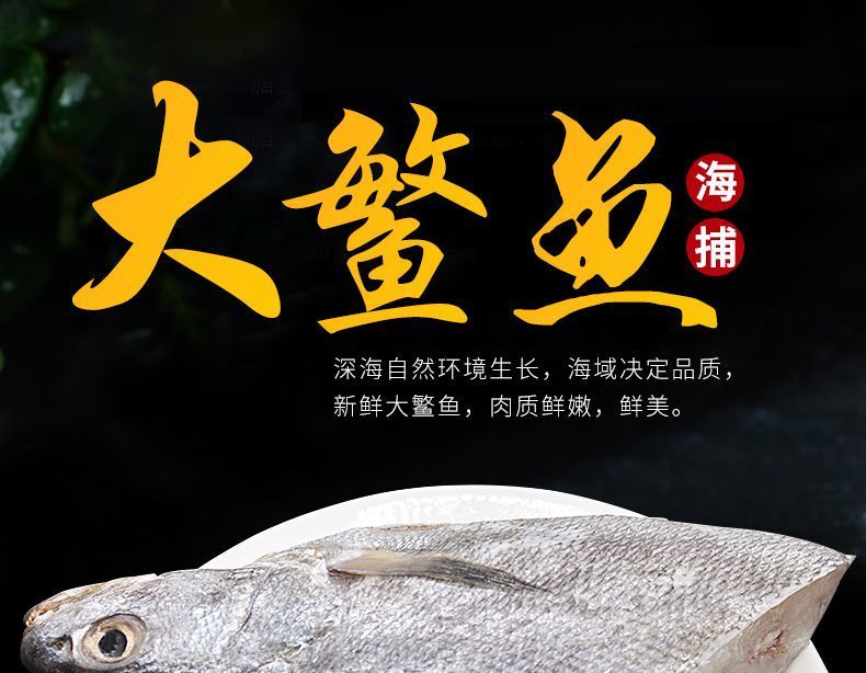 新鲜深海米鱼冷冻鳘鱼大鳘鱼冷冻鳘鱼海捕水产海鲜昌盛隆五斤装68两