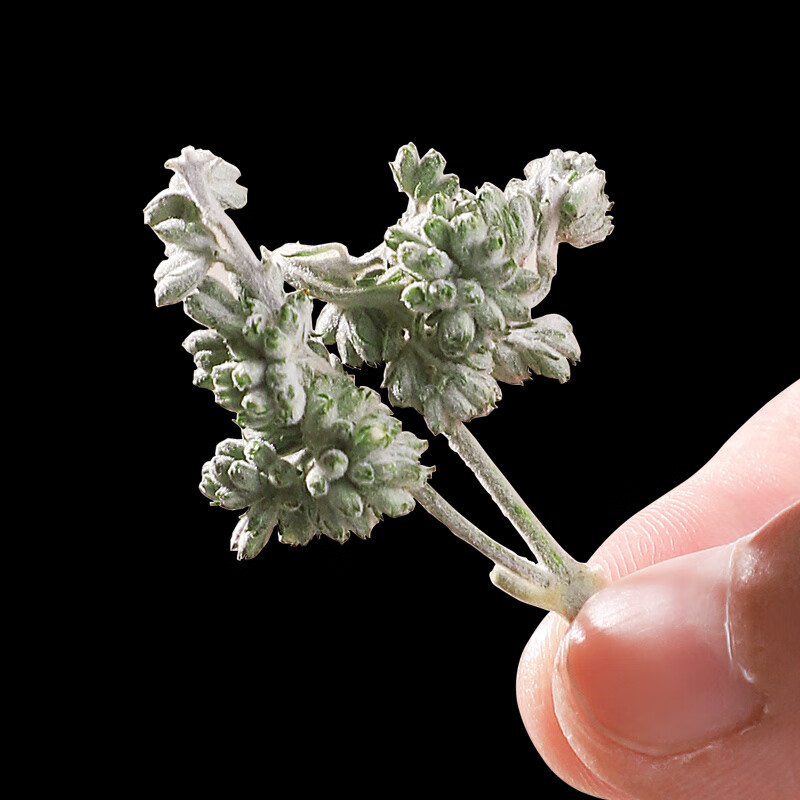 广西蜜蒙花泡茶干中药材非野生特级密檬花 【罐装】密蒙花500g【图片