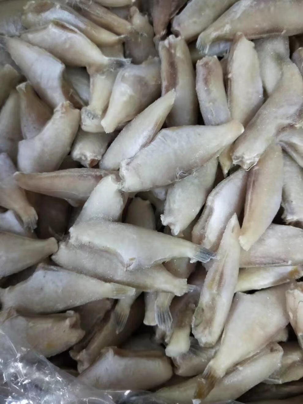 耗儿鱼新鲜冷冻小号马面鱼扒皮鱼毛重带箱子8斤一箱肉质鲜嫩带冰