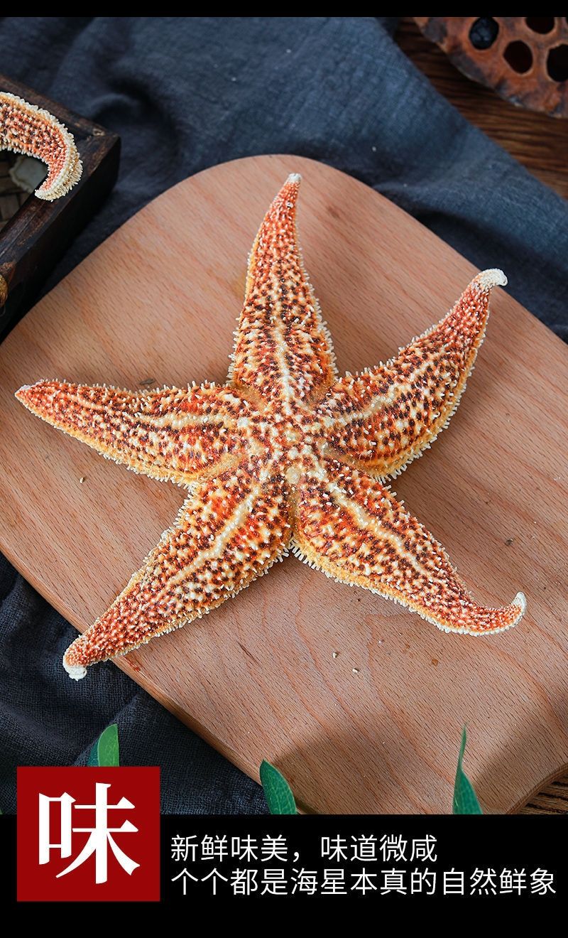 海星中药材新货刺棘海星深海大海五星海盘车干货煲汤泡酒料 海星250克